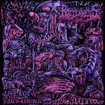 Rottenness : Live Rot in the Czech Republic Rottenness : Live Rot in the Czech Republic